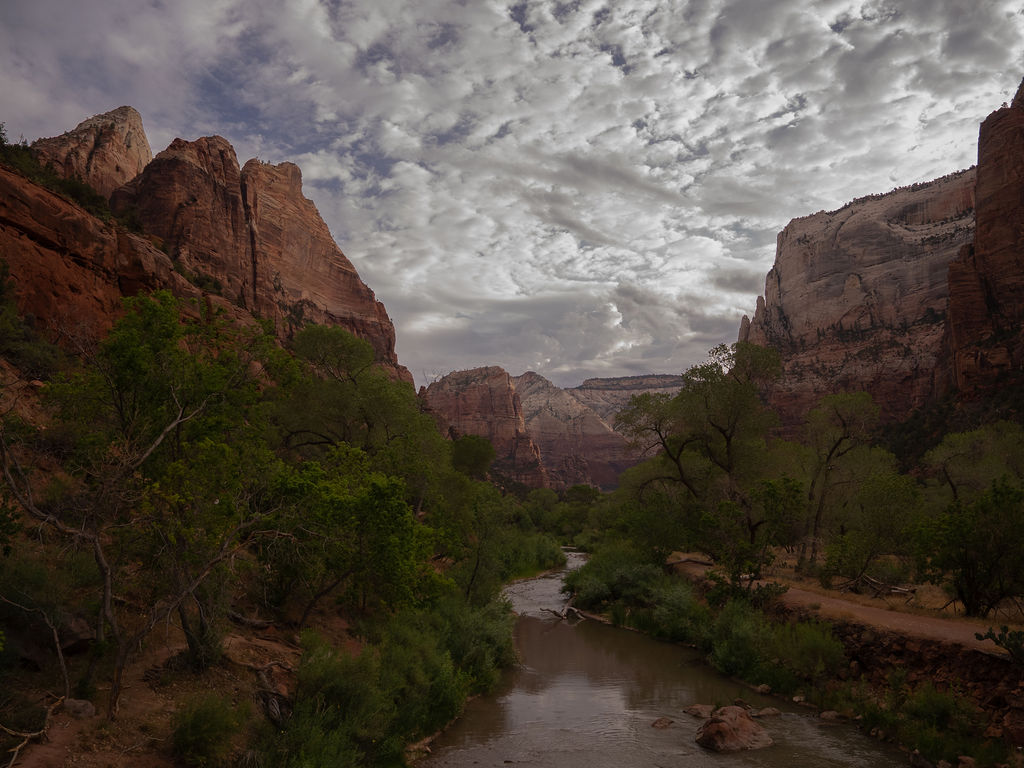 Canyon walls in Zion National Park
