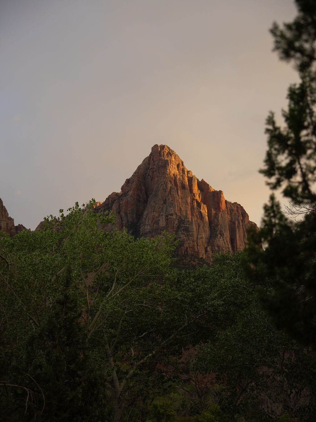 Sunset over the Watchman near Zion National Park